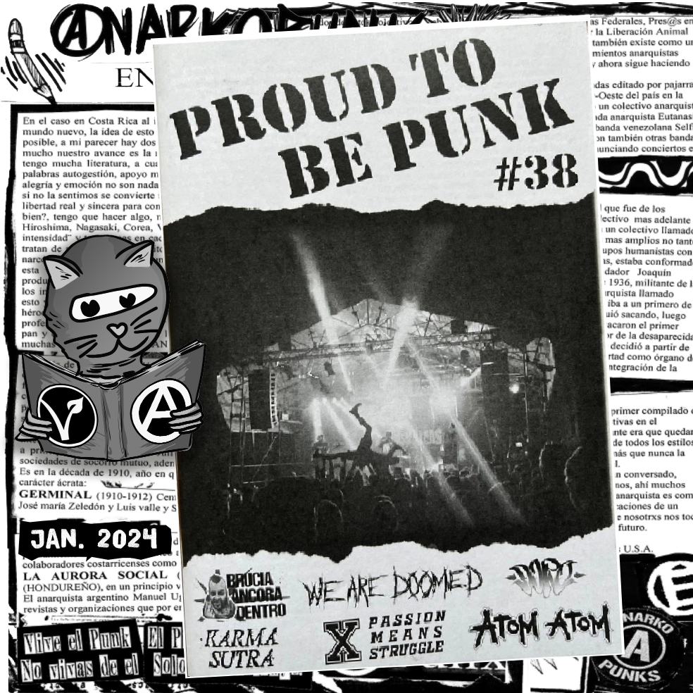 Proud to be Punk Nr.38 Zine