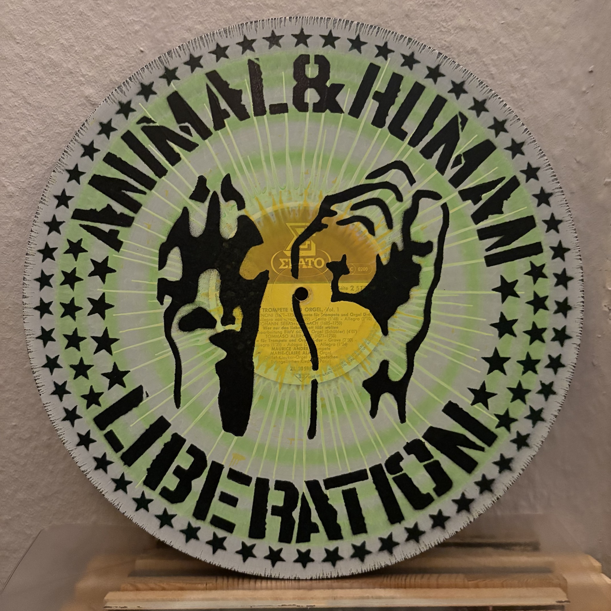 Besprühte Schallplatte - Animal & Human Liberation