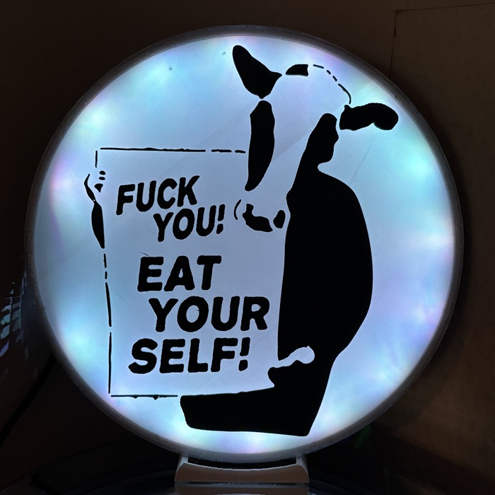 DIY-LED-Lampe • FU Eat Yourself!